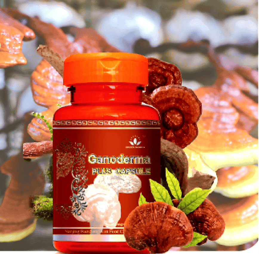 image of Ganoderma Plus Capsule